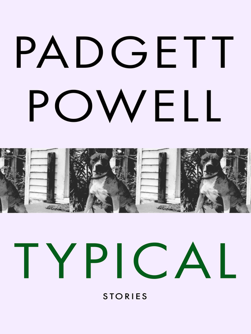 Title details for Typical by Padgett Powell - Available